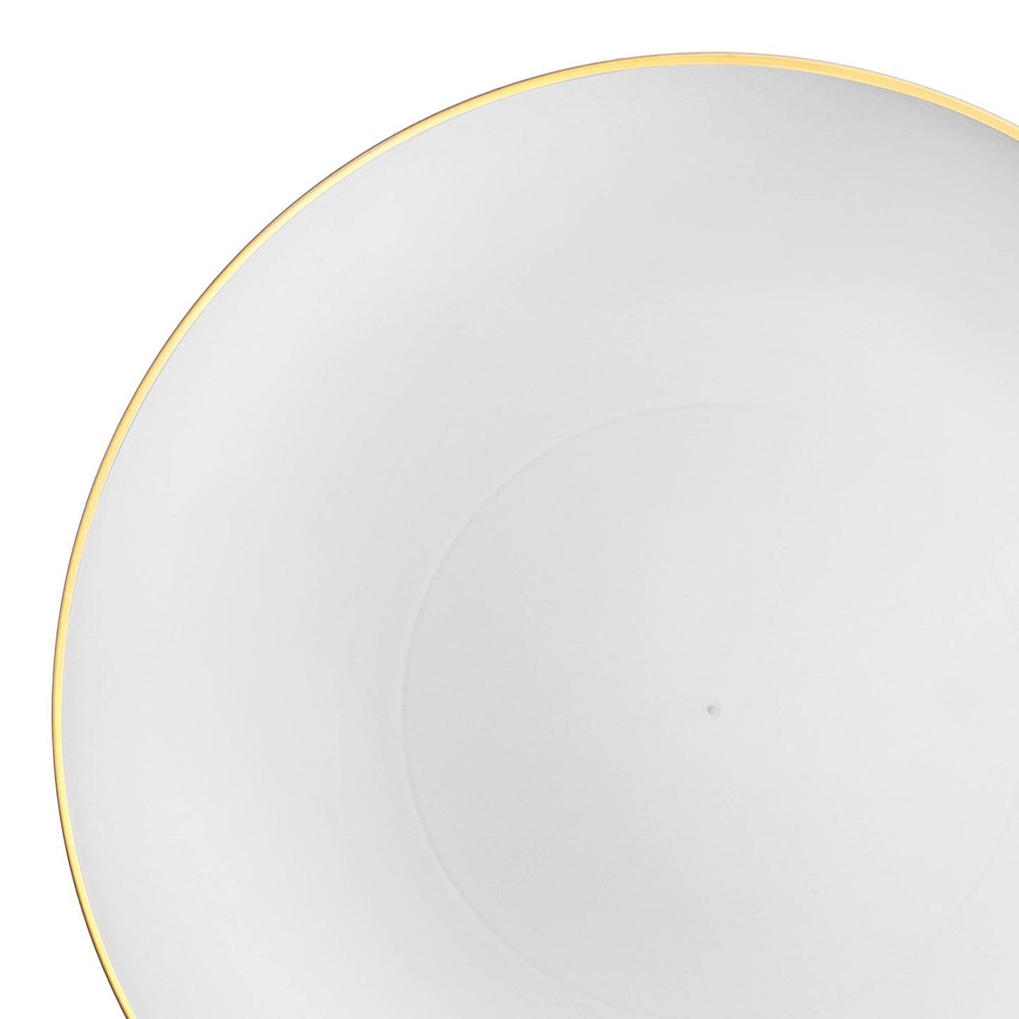 White with Gold Plastic Dinner Plates (10 plates)